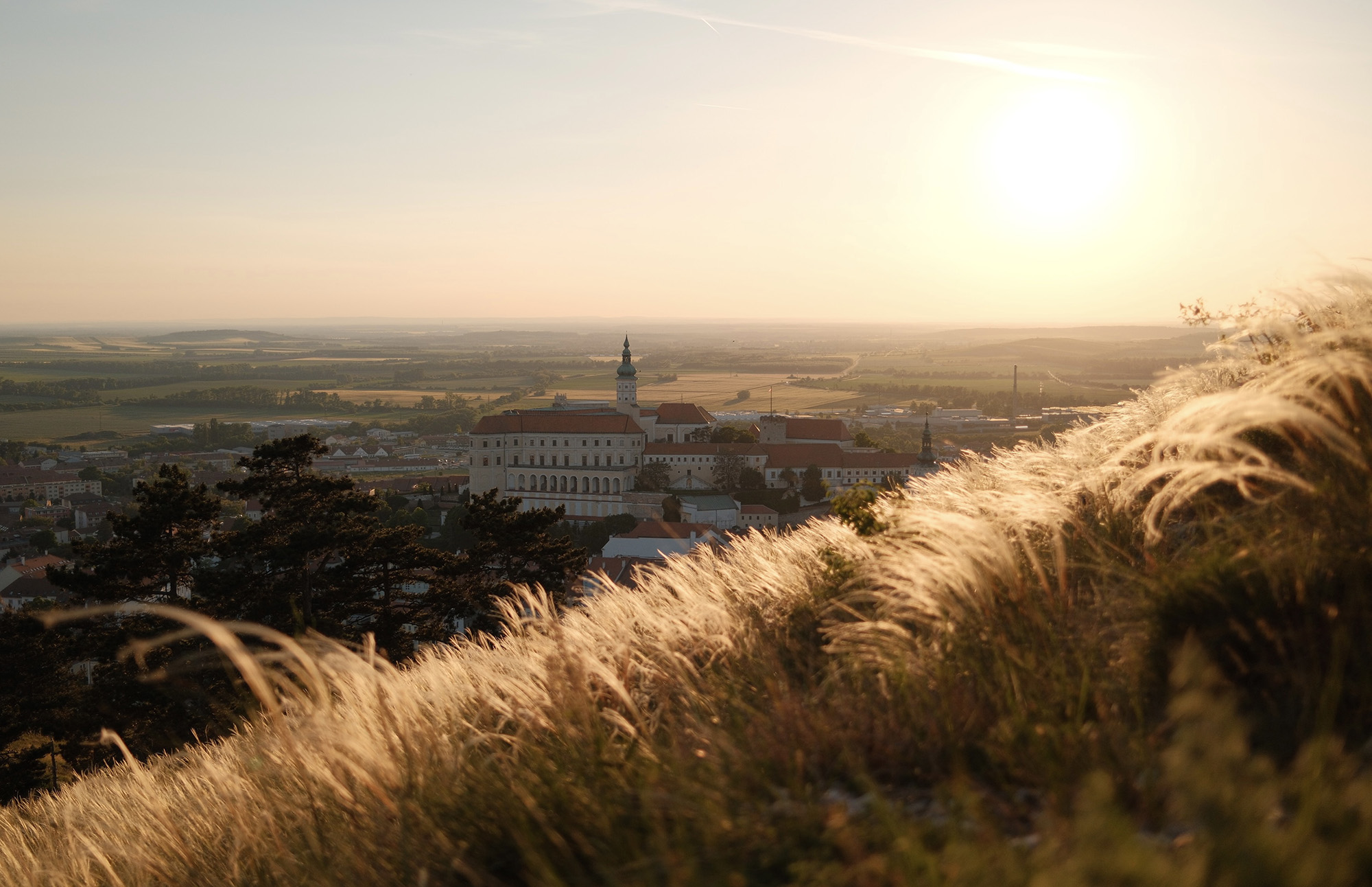 Mikulov